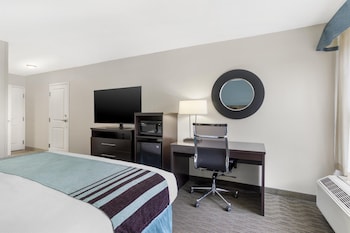 Standard Room, 1 King Bed, Accessible, Non Smoking