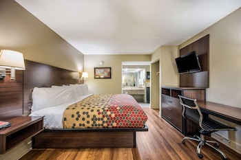 Room, 1 King Bed, Accessible, Non Smoking