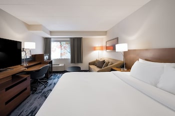 Room, 1 King Bed with Sofa bed