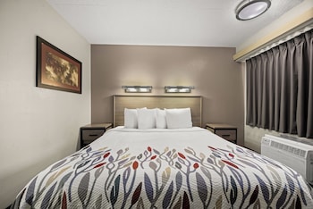 Deluxe Room, 1 King Bed, Non Smoking