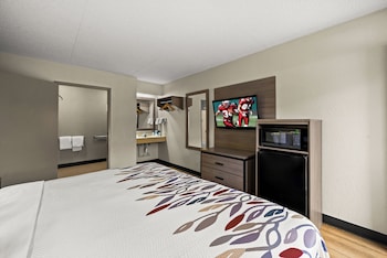 Deluxe Room, 1 King Bed, Accessible, Non Smoking, Roll-In Shower