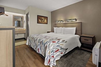 Deluxe Room, 1 King Bed, Non Smoking