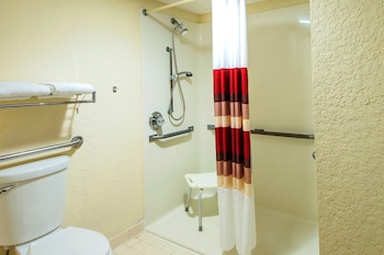 Deluxe Room, 1 King Bed, Accessible, Non Smoking, Roll-In Shower