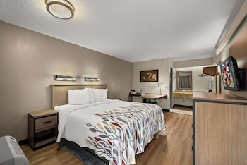 Superior Room, 1 King Bed, Non Smoking