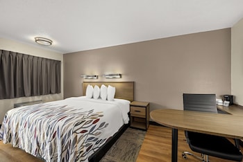 Superior Room, 1 King Bed, Non Smoking