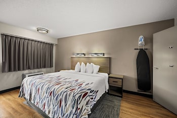 Deluxe Room, 1 King Bed, Accessible, Non Smoking, Roll-In Shower