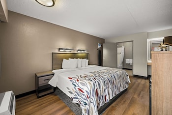 Deluxe Room, 1 King Bed, Accessible, Non Smoking, Roll-In Shower