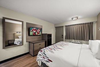 Deluxe Room, 1 King Bed, Accessible, Non Smoking, Roll-In Shower