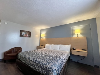 Standard Room, 1 King Bed, Non Smoking