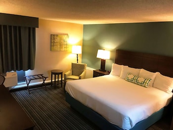 Suite, 1 King Bed, Non Smoking, Refrigerator (with Sofabed)