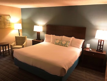 Suite, 1 King Bed, Non Smoking, Refrigerator (with Sofabed)