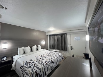 Deluxe Room, 1 King Bed (Smoke Free)
