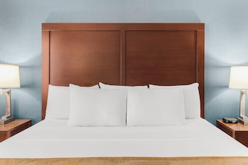 Room, 1 King Bed, Roll-In Shower, Non Smoking