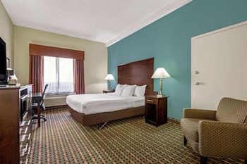 Room, 1 King Bed, Non Smoking