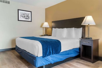 Standard Room, 1 King Bed, Non Smoking, Refrigerator & Microwave (with Sofabed)