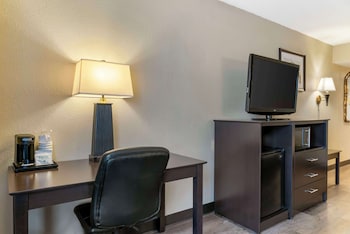 Standard Room, 1 King Bed, Non Smoking, Refrigerator & Microwave (with Sofabed)