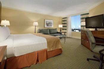 Room, 1 King Bed with Sofa bed