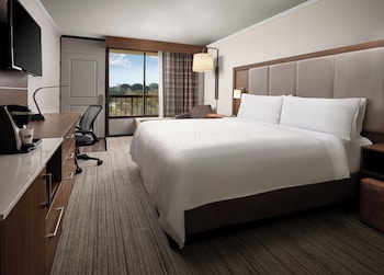 Room, 1 Double Bed, Accessible (Mobility, Accessible Tub)
