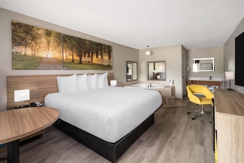 Studio Suite, 1 King Bed, Non Smoking