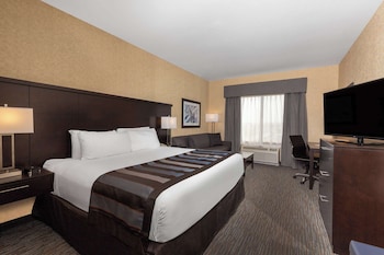 Room, 1 King Bed, Non Smoking