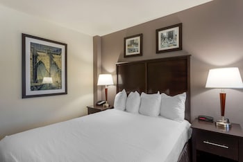 Standard Room, 1 Queen Bed, Non Smoking, Refrigerator & Microwave