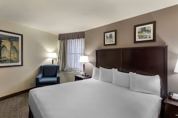 Standard Room, 1 King Bed, Non Smoking, Refrigerator & Microwave