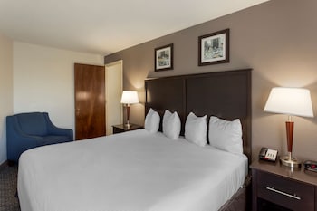 Suite, 1 King Bed, Non Smoking, Refrigerator & Microwave (with Sofabed)