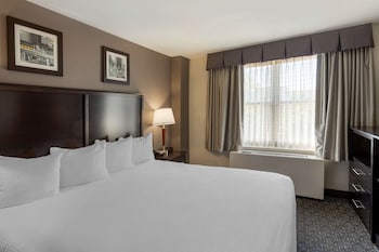 Suite, 1 King Bed, Non Smoking, Refrigerator & Microwave (with Sofabed)