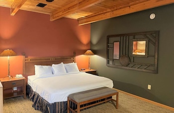 Cabin, 1 King Bed with Sofa bed
