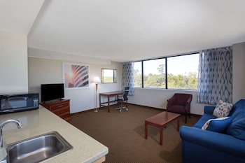 Panoramic Suite, 1 King Bed with Sofa bed, Non Smoking
