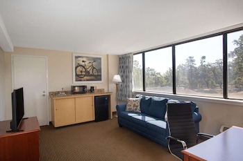 Panoramic Suite, 1 King Bed with Sofa bed, Non Smoking