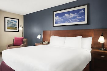 Room, 1 King Bed, Accessible, Microwave (Mobility and Hearing)