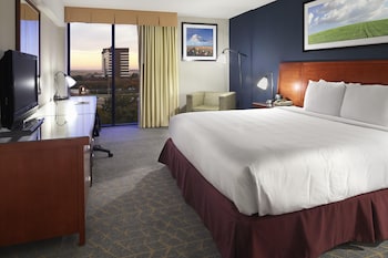 Room, 1 King Bed, Accessible, Microwave (Mobility and Hearing)