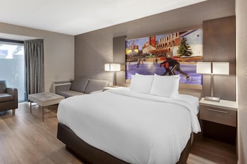 Standard Room, 1 Queen Bed, Accessible, Non Smoking (with Sofabed)