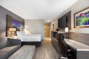 Standard Room, 1 Queen Bed, Non Smoking (with Sofabed)