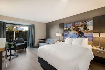 Standard Room, 1 Queen Bed, Accessible, Non Smoking (with Sofabed)
