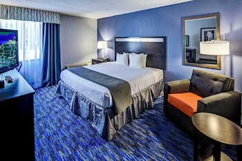 Standard Room, 1 King Bed, Accessible (Mobility, Roll-In Shower)