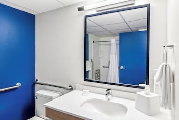 Room, 1 King Bed, Accessible (Roll-In Shower)