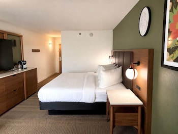 Classic Room, 1 King Bed