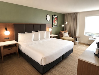 Deluxe Room, 1 King Bed
