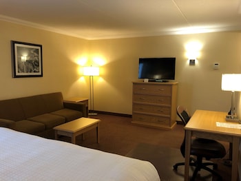 Business Room, 1 King Bed, Non Smoking, Jetted Tub (with Sofabed)