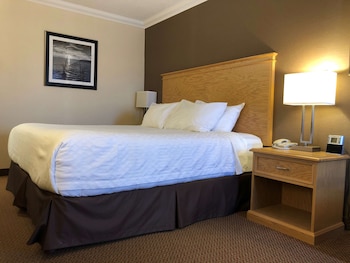 Standard Room, 1 King Bed, Non Smoking