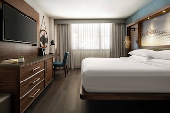 Room, 1 King Bed