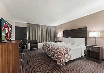 Deluxe Room, 1 King Bed, Accessible, Non Smoking (Roll-In Shower)