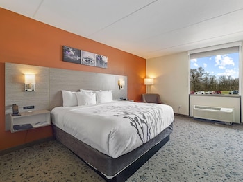 Suite, 1 King Bed, Non Smoking