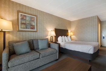 Standard Room, 1 King Bed, Non Smoking, Refrigerator & Microwave (with Sofabed)