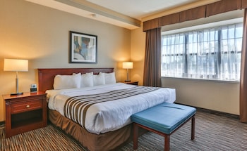 Suite, 1 King Bed, Non Smoking, Refrigerator & Microwave (with Sofabed)