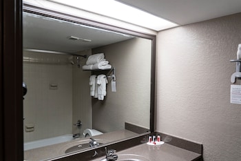 Deluxe Suite, 1 King Bed, Non Smoking (One-Bedroom)