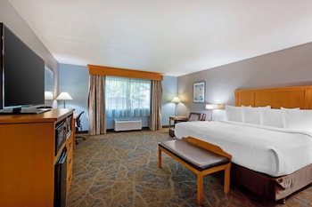 Standard Room, 1 King Bed with Sofa bed, Non Smoking (with Sofabed)