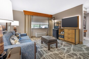Standard Room, 1 King Bed, Accessible, Non Smoking (with Sofabed)